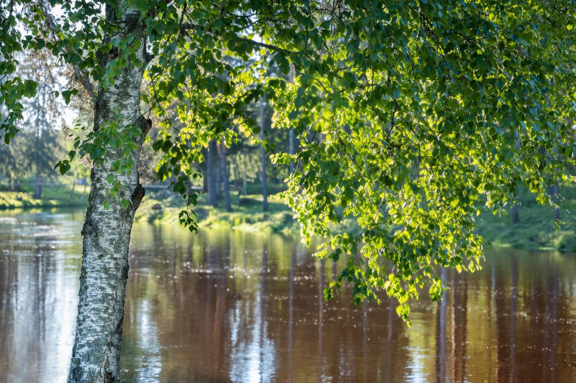Spa Hotel Runni Iisalmi Экстерьер фото